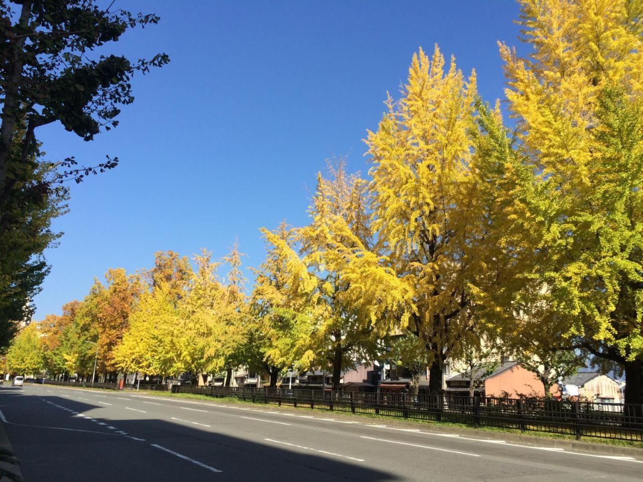 Ichijo Premium Villa Kyoto Dış mekan fotoğraf