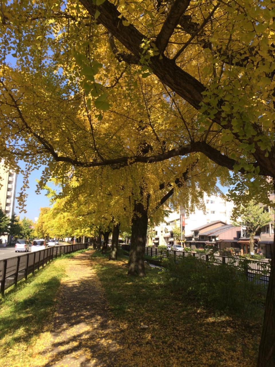 Ichijo Premium Villa Kyoto Dış mekan fotoğraf